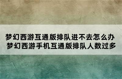 梦幻西游互通版排队进不去怎么办 梦幻西游手机互通版排队人数过多